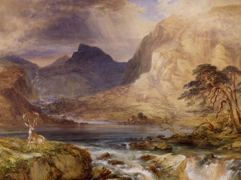 freelance artist scenary 1