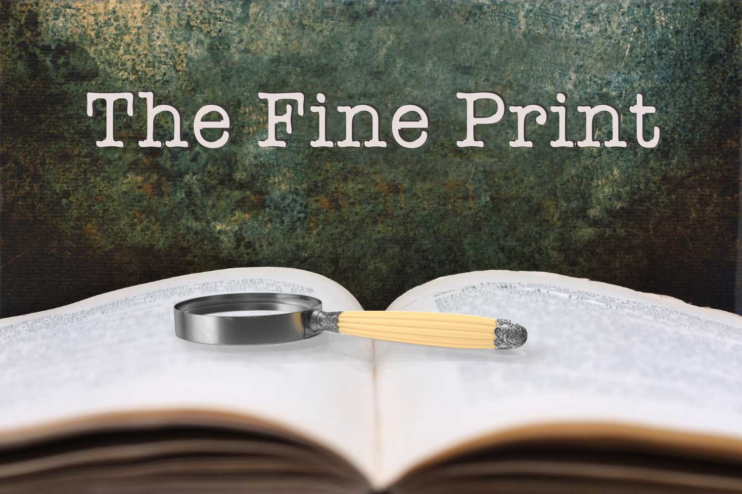 The Fine Print - Marijo Swick
